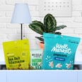 Your Ultimate Guide to Dorm Room Snacking